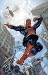 spider